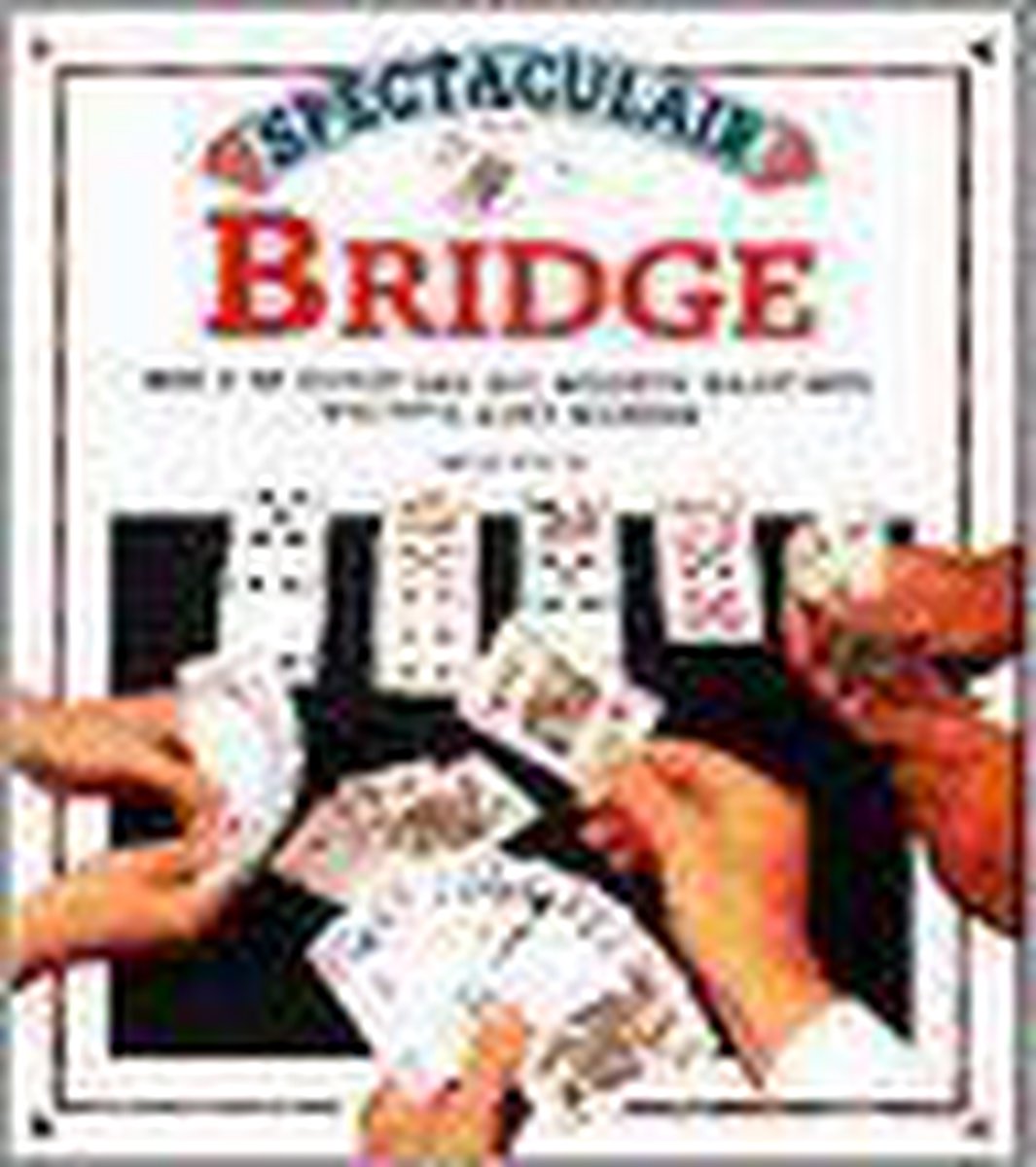 boekenbalie_9789036611220_cover SPECTACULAIR BRIDGE