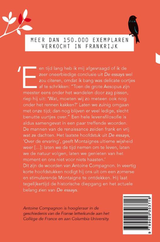 Een zomer met Montaigne achterkant