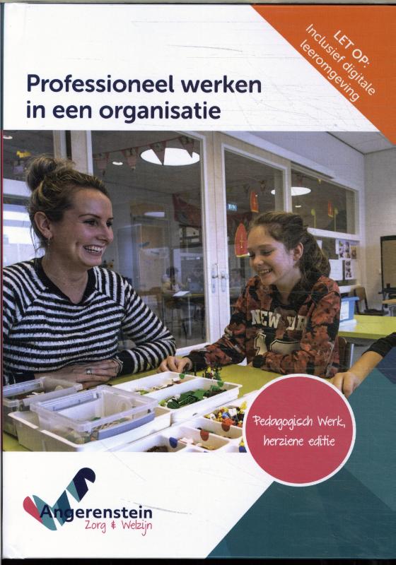 Professioneel werken in een organisatie / Angerenstein Welzijn