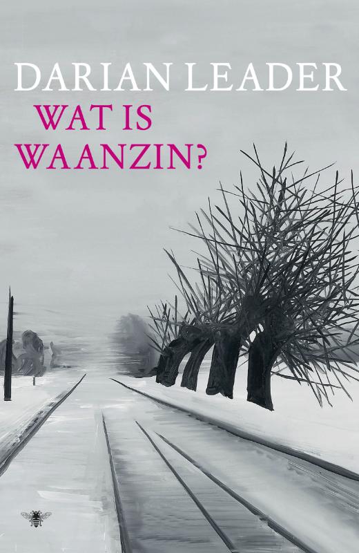 boekenbalie_9789023472025_cover Wat is waanzin?
