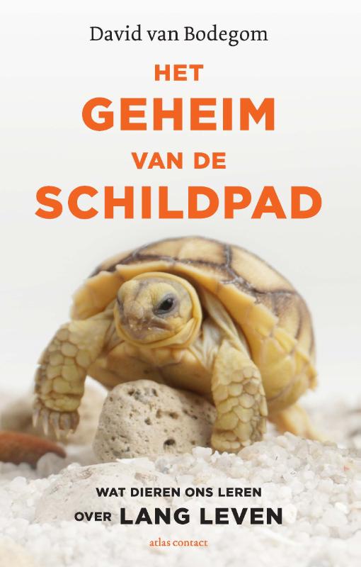 boekenbalie_9789045038933_cover Het geheim van de schildpad