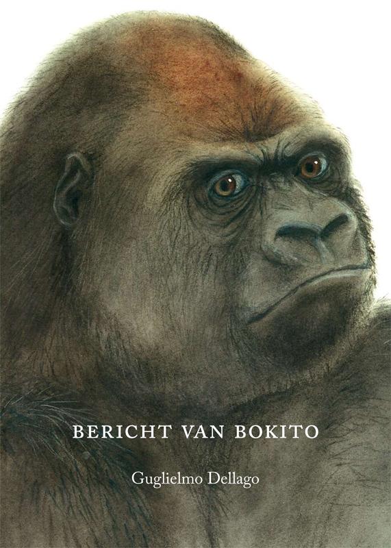 G. Dellago Bericht Van Bokito thumbnail