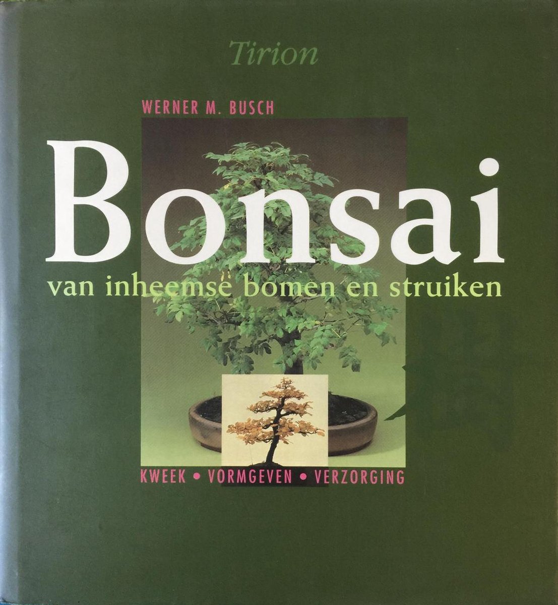 Bonsai van inheemse bomen en struiken