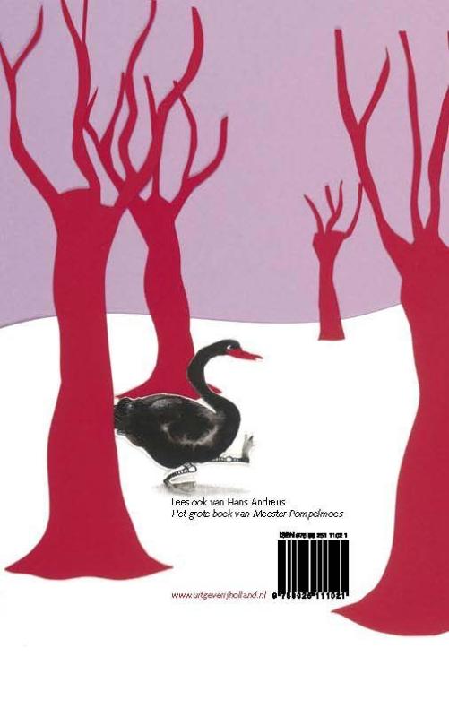 De laatste tovenaar De laatste tovenaar achterkant