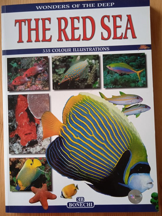 The Red Sea