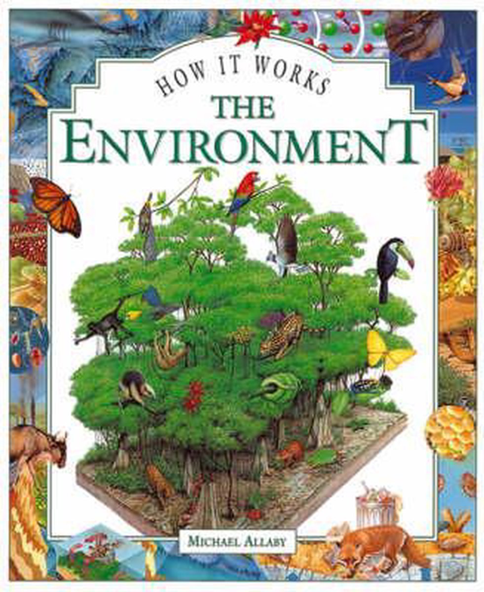 The Environment, The