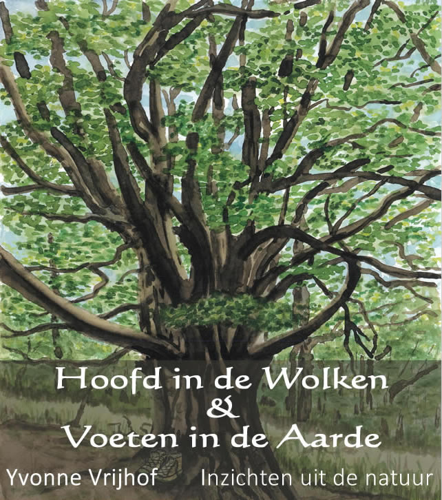 Hoofd in de wolken, voeten in de aarde