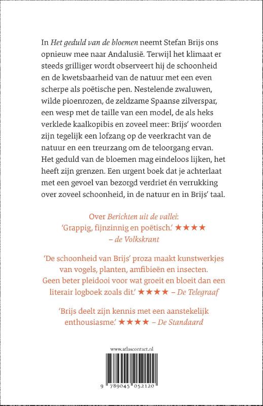 Het geduld van de bloemen achterkant
