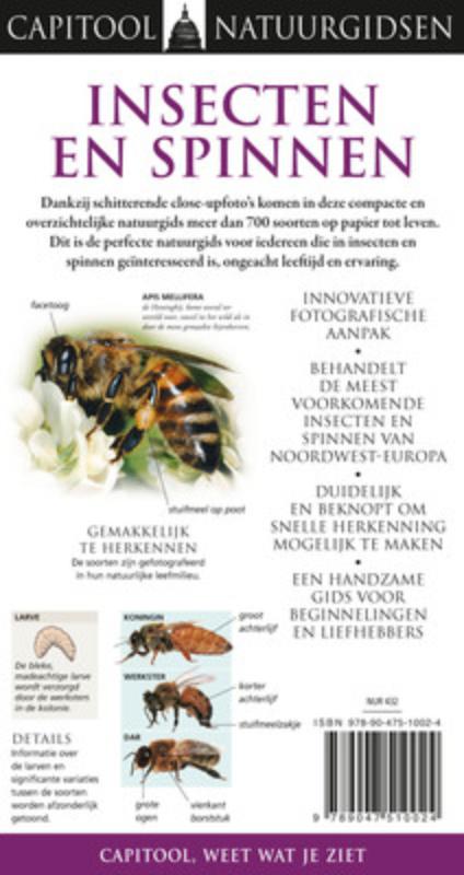 Insecten en spinnen / Capitool Natuurgidsen achterkant