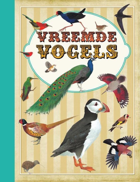 Vreemde Vogels thumbnail