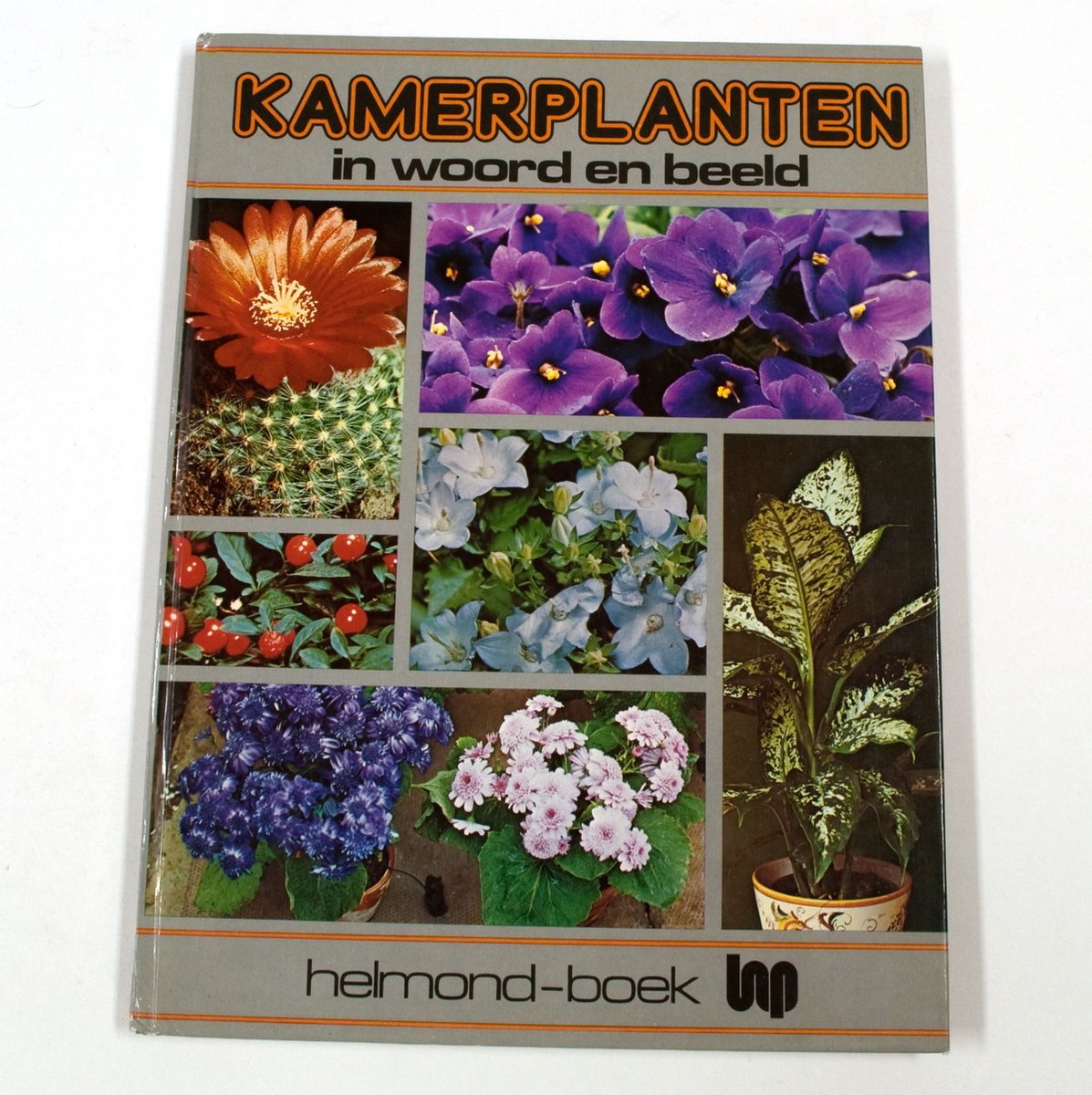 Kamerplanten in woord en beeld