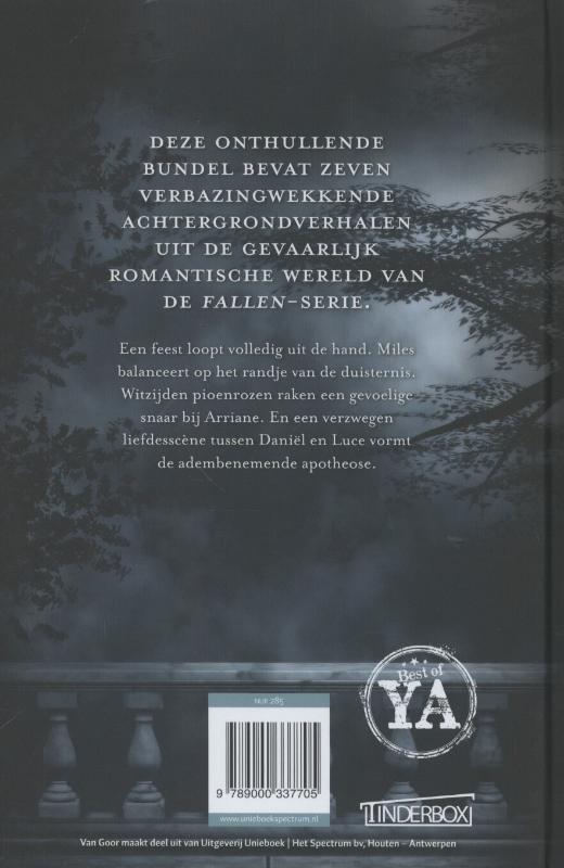 Engelen in het donker / Fallen achterkant