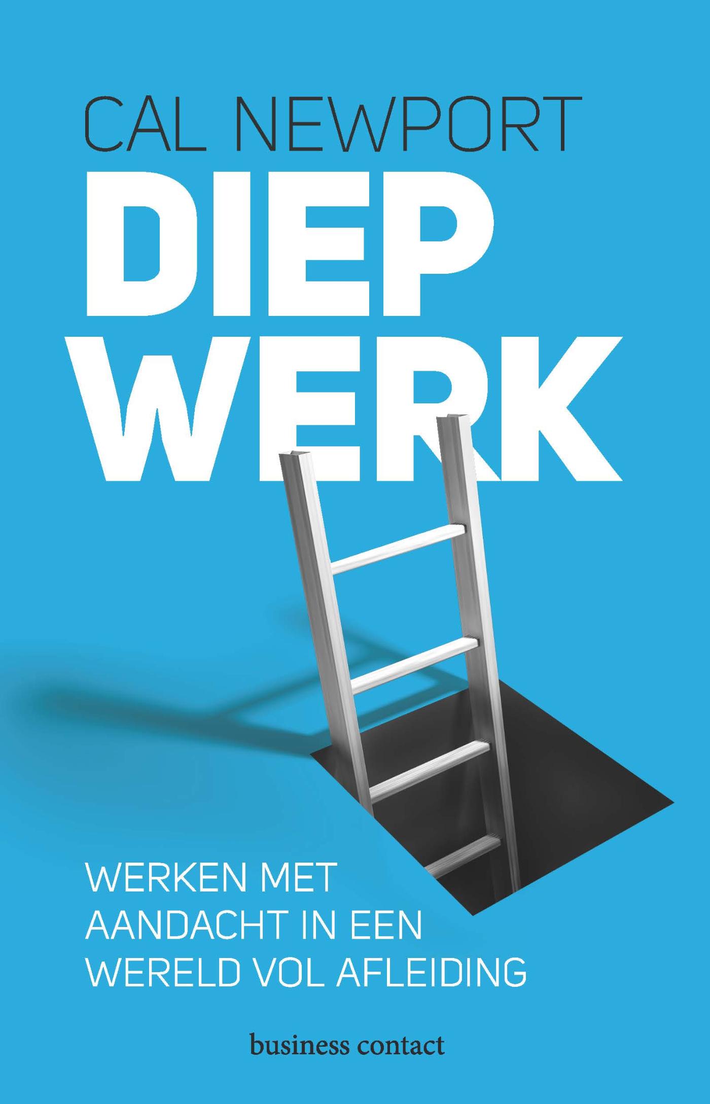 Cal Newport Diep Werk