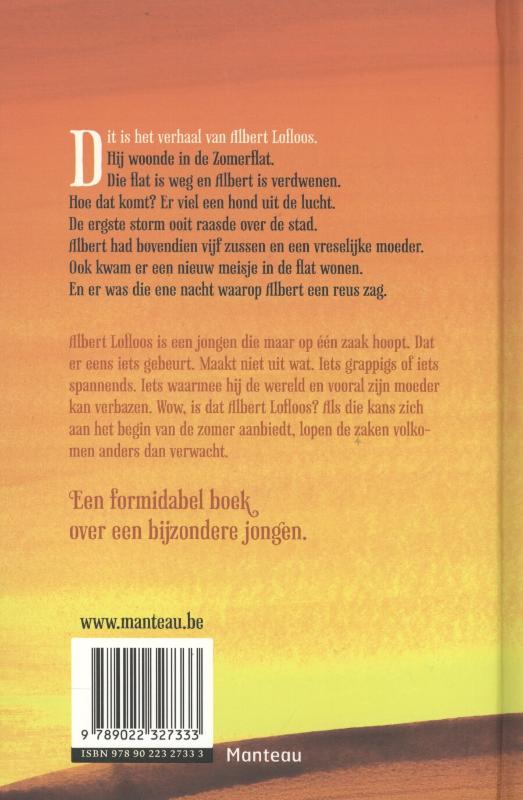 De reus van de zomerflat achterkant