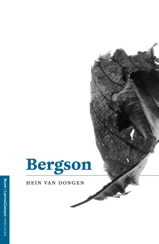 Profielen  -   Bergson