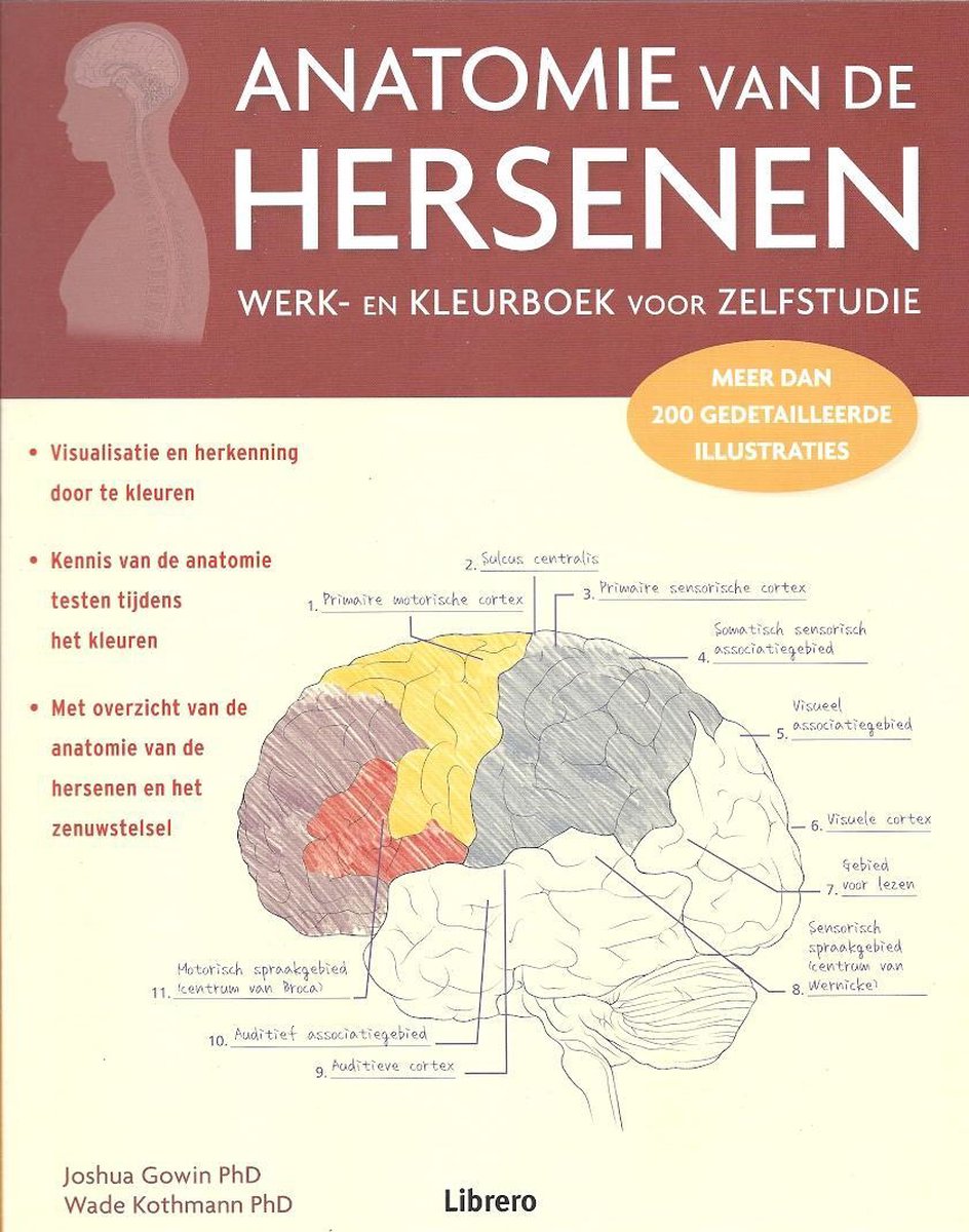boekenbalie_9789463591072_cover Anatomie van de hersenen