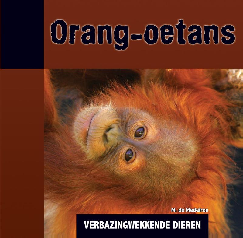 Verbazingwekkende dieren  -   Orang-oetans