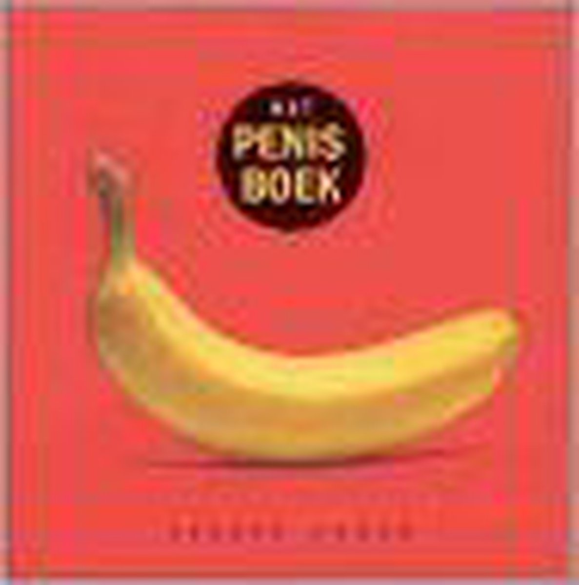 Joseph Cohen Het Penisboek thumbnail