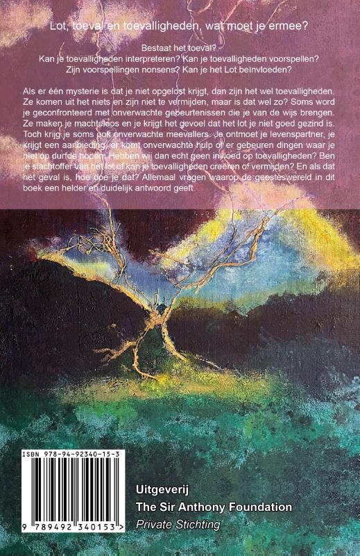 Wijzen toevalligheden de weg? Wijzen toevalligheden de weg? achterkant