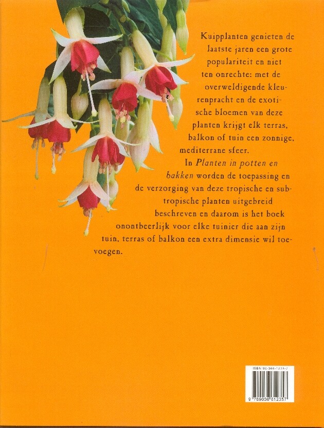 Planten in potten en bakken achterkant
