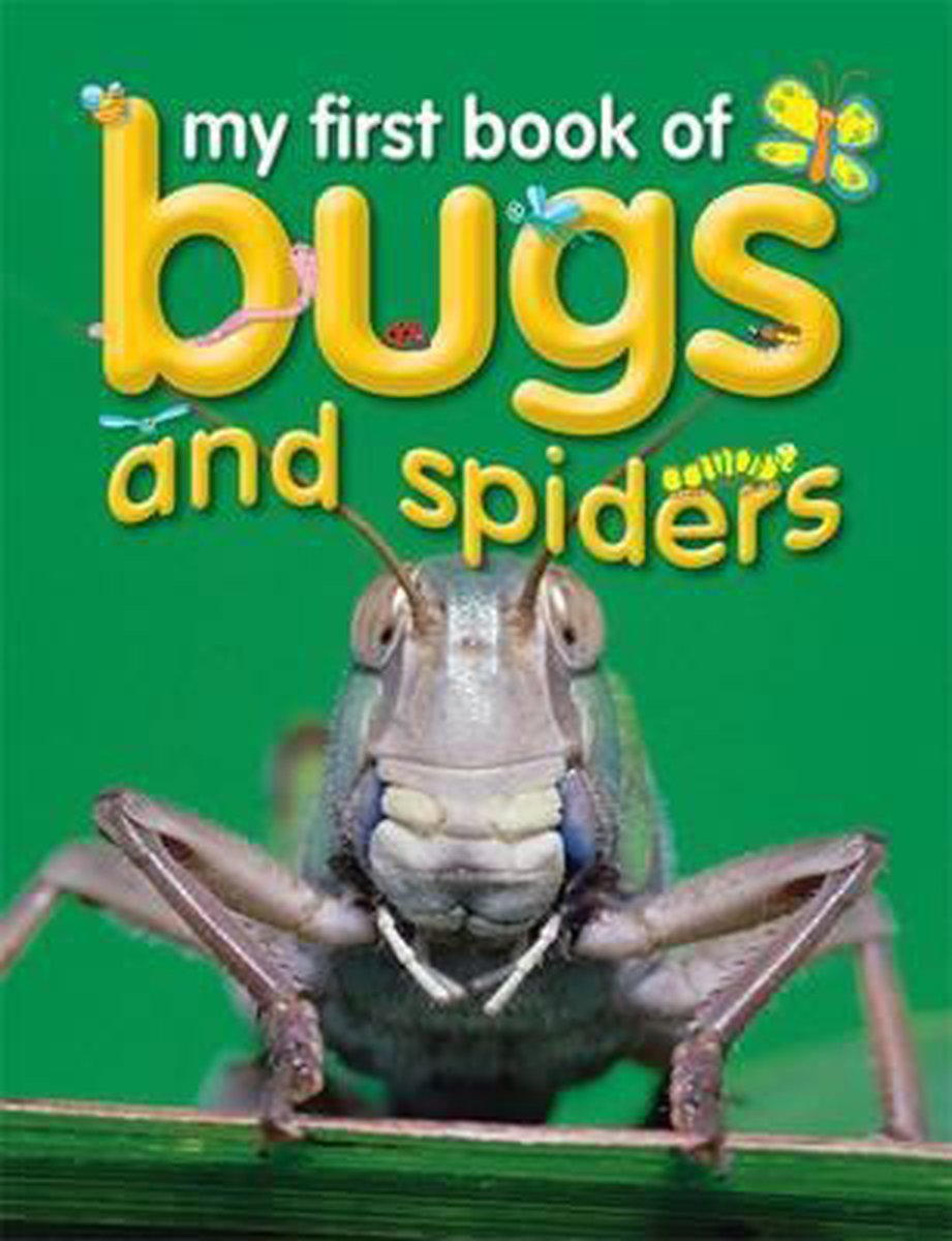 My First Book of Bugs & Spiders