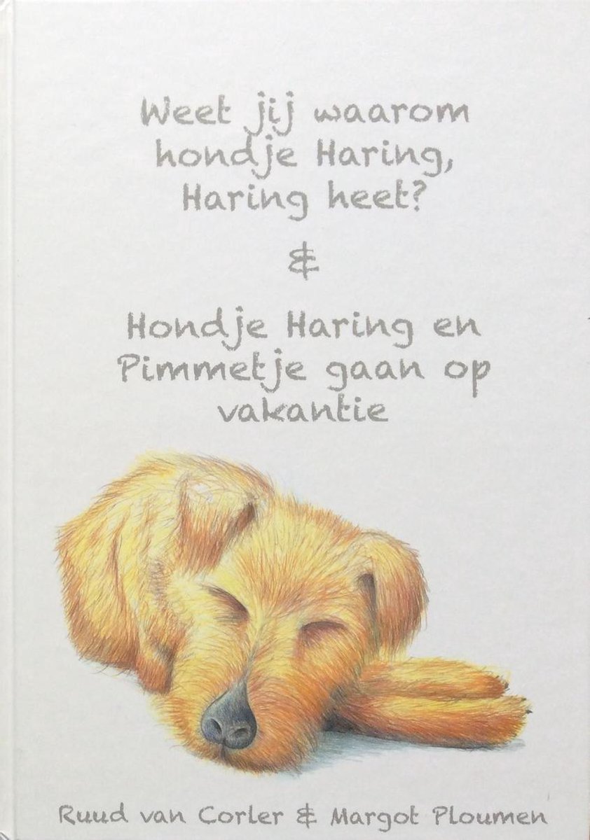 Het grote hondje Haring doe-boek
