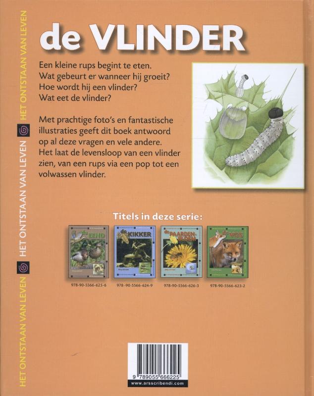 Het ontstaan van leven - De vlinder achterkant