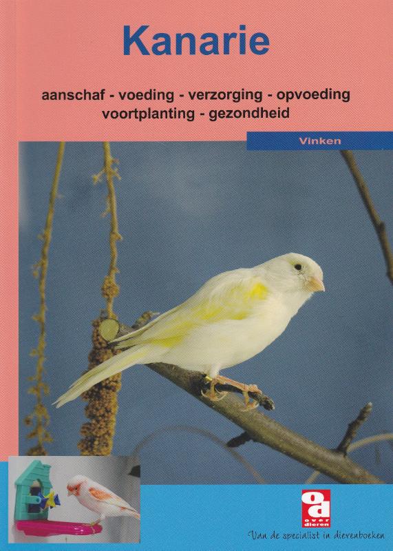 De Kanarie / Over Dieren / 093 thumbnail