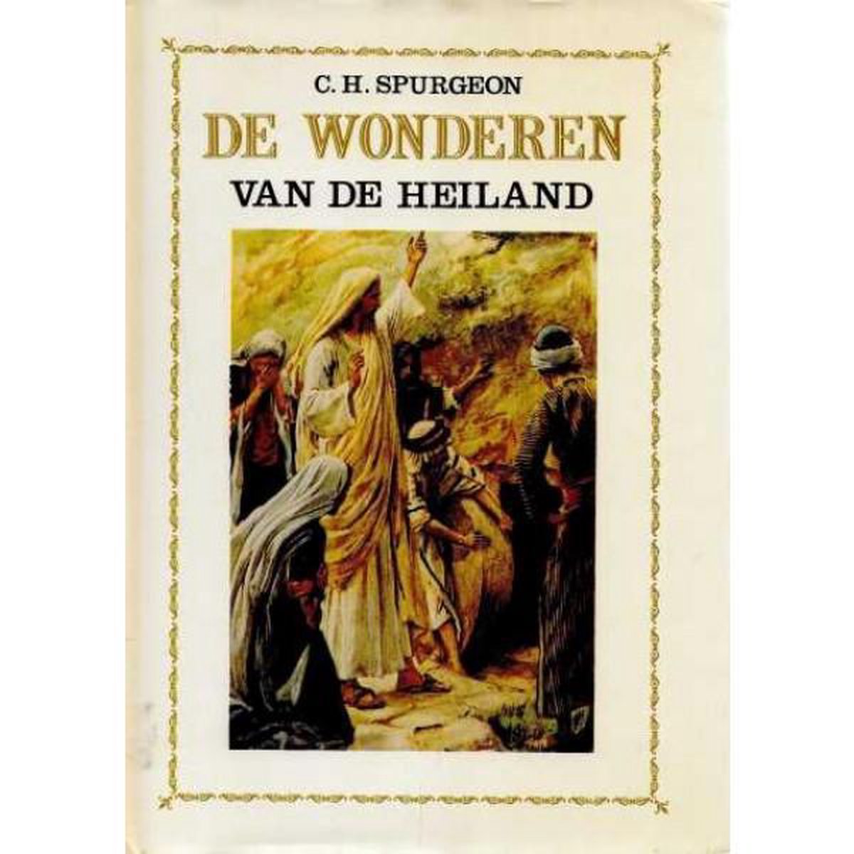 boekenbalie_9789061352051_cover WONDEREN VAN DE HEILAND, DE