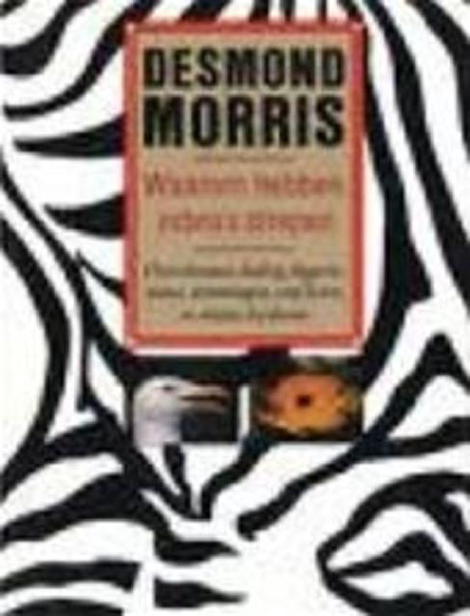 Morris Waarom Hebben Zebra's Strepen thumbnail