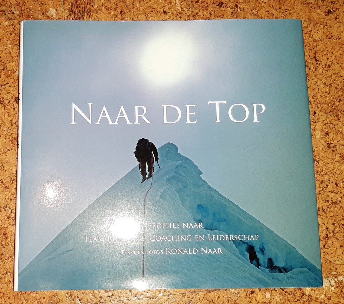 boekenbalie_9789080854031_cover Naar de top