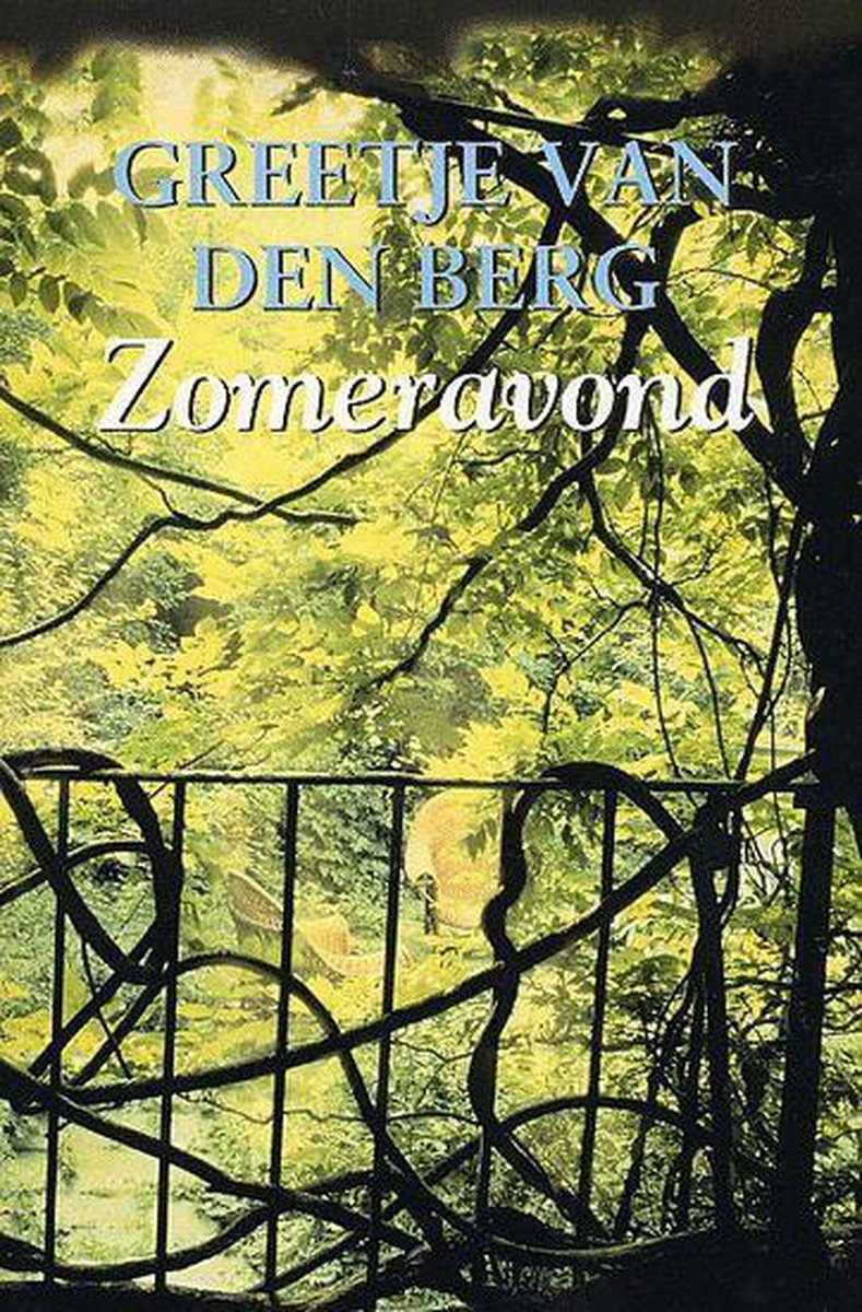 boekenbalie_9789021090733_cover Zomeravond / Spiegelserie