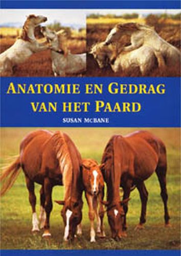 Anatomie En Gedrag Van Het Paard