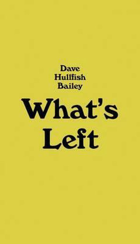 Dave Hullfish Bailey - Whats Left