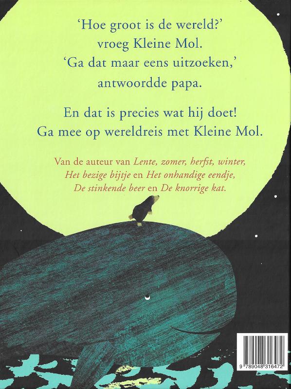 Hoe groot is de wereld? achterkant
