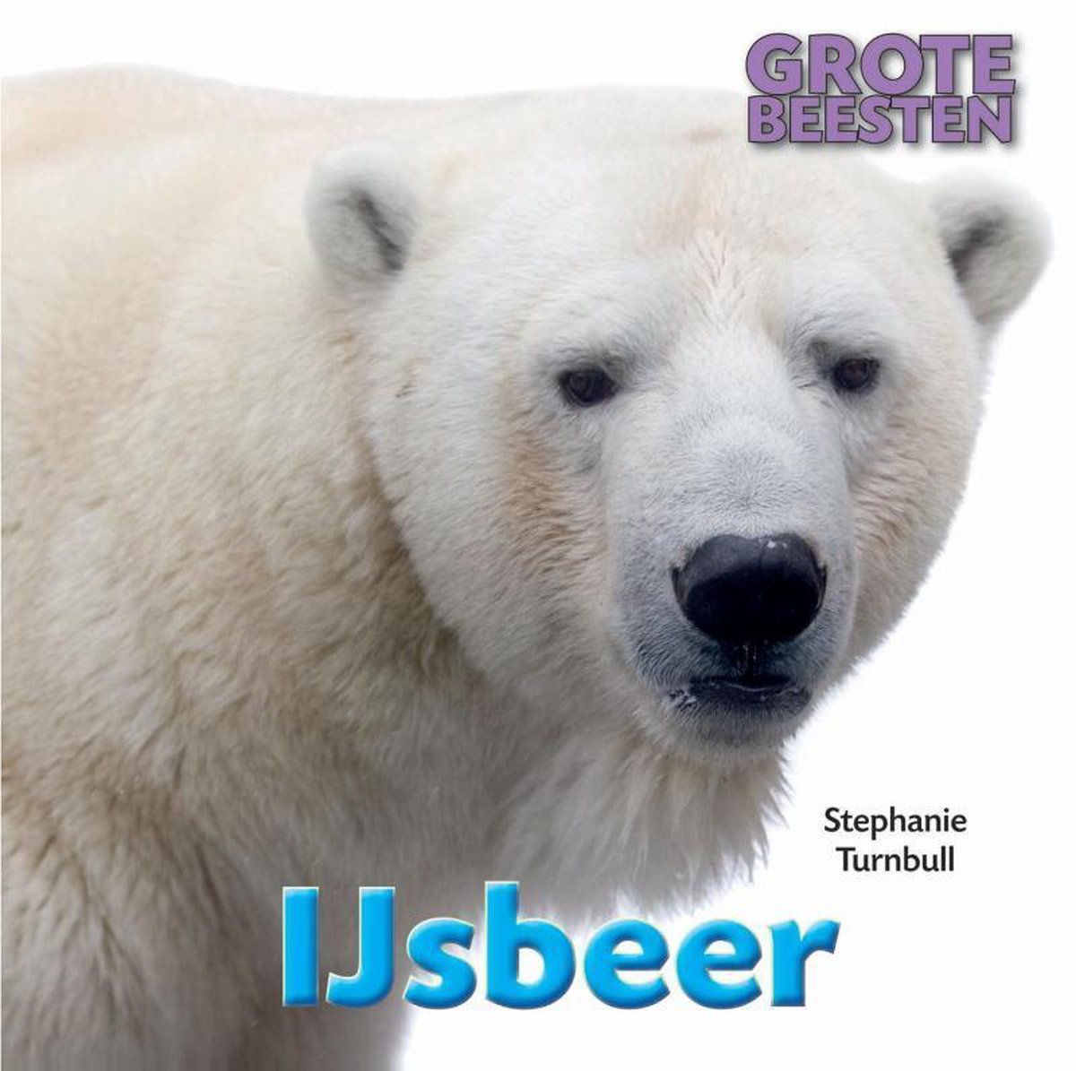 Grote Beesten  -   IJsbeer
