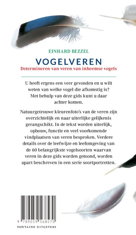 Vogelveren achterkant