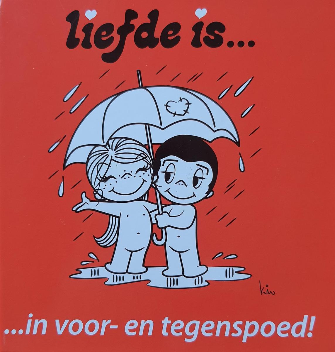 boekenbalie_9789461442581_cover In voor- en tegenspoed / Liefde is...