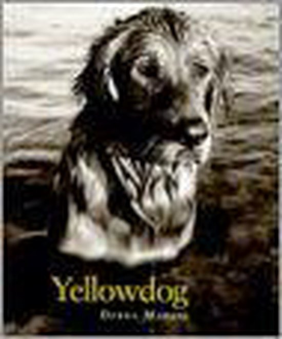 Yellowdog