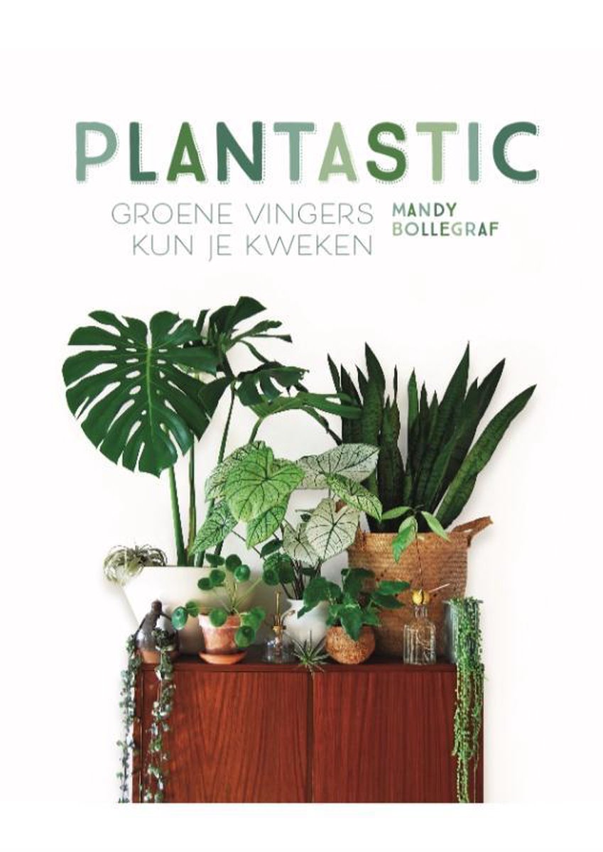 Mandy Bollegraf Plantastic thumbnail