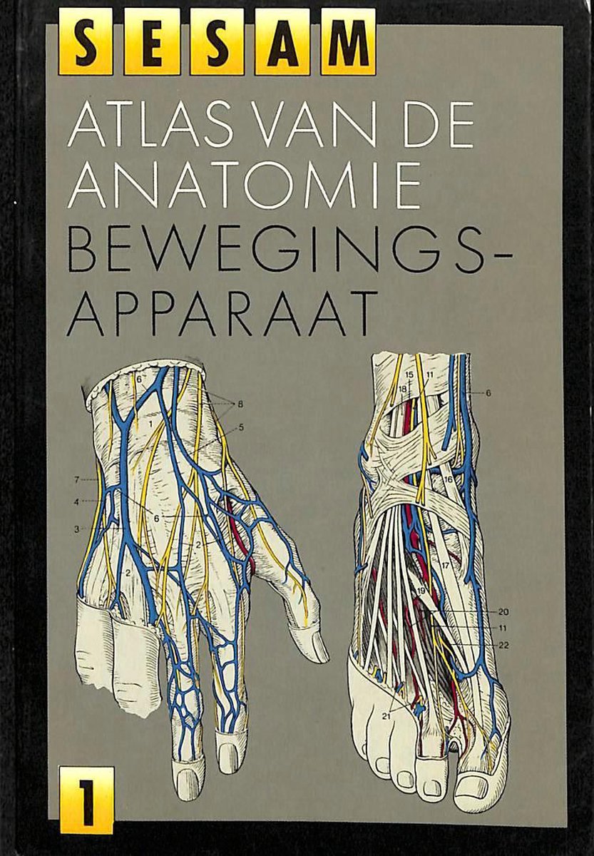 Sesam atlas van de anatomie