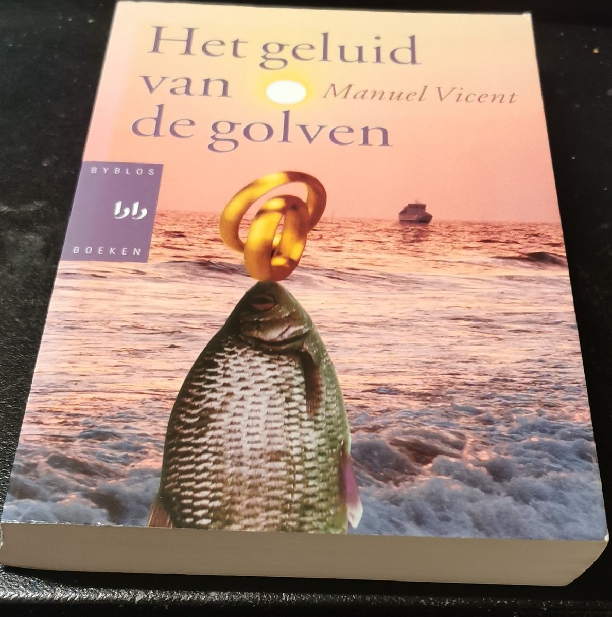 Geluid van de golven