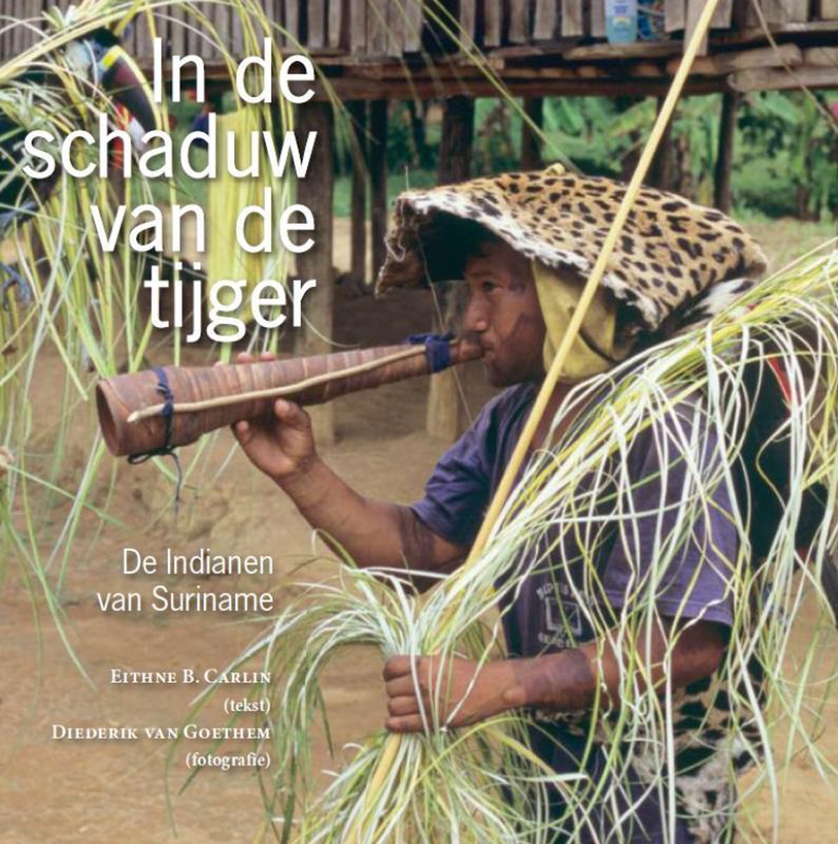In de schaduw van de tijger