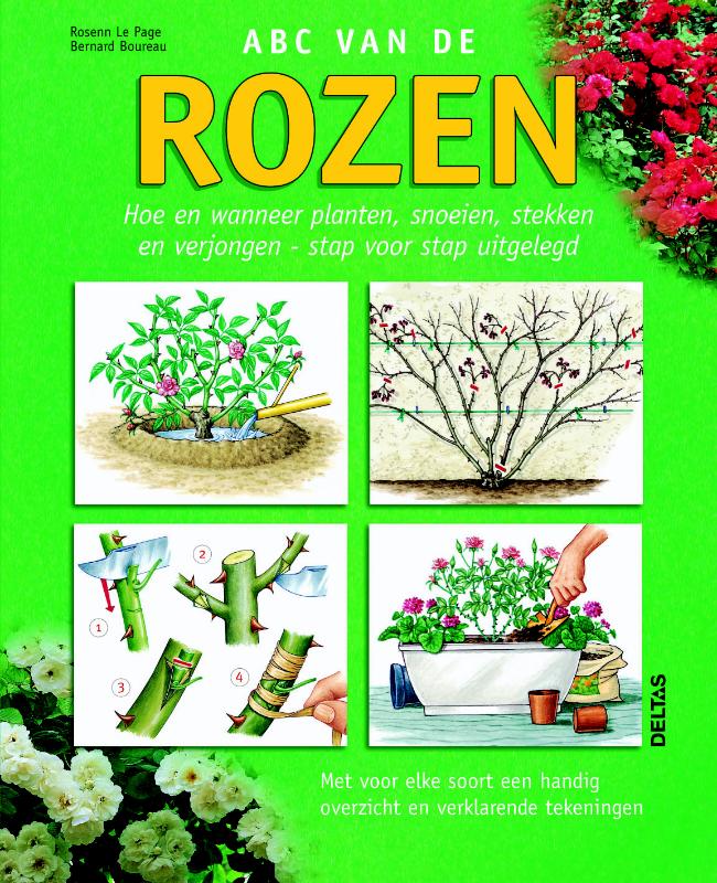 R. Le Page Abc Van De Rozen thumbnail
