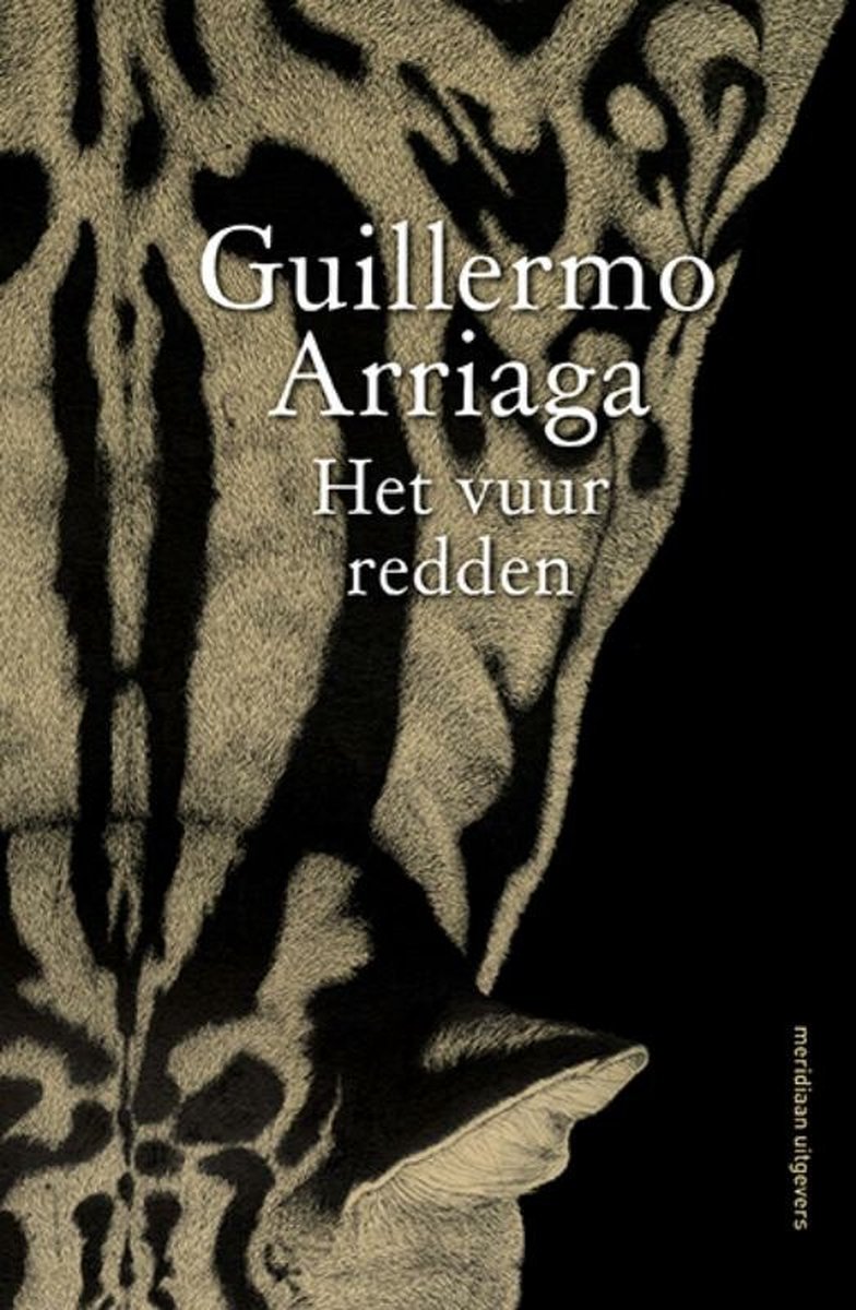Guillermo Arriaga Het Vuur Redden thumbnail