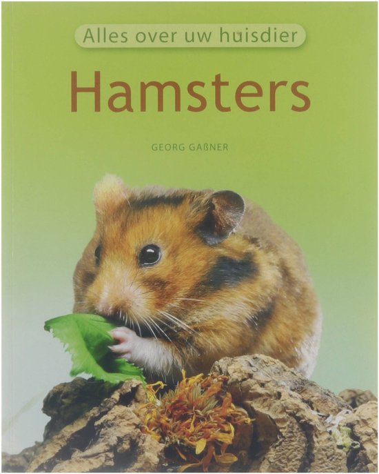 Georg GaBner Hamsters thumbnail