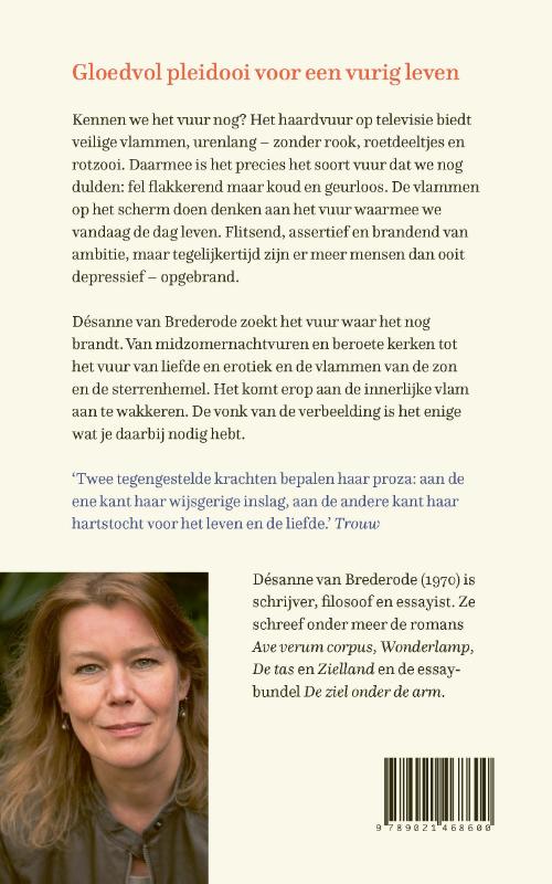 Hoe het vuur te redden achterkant