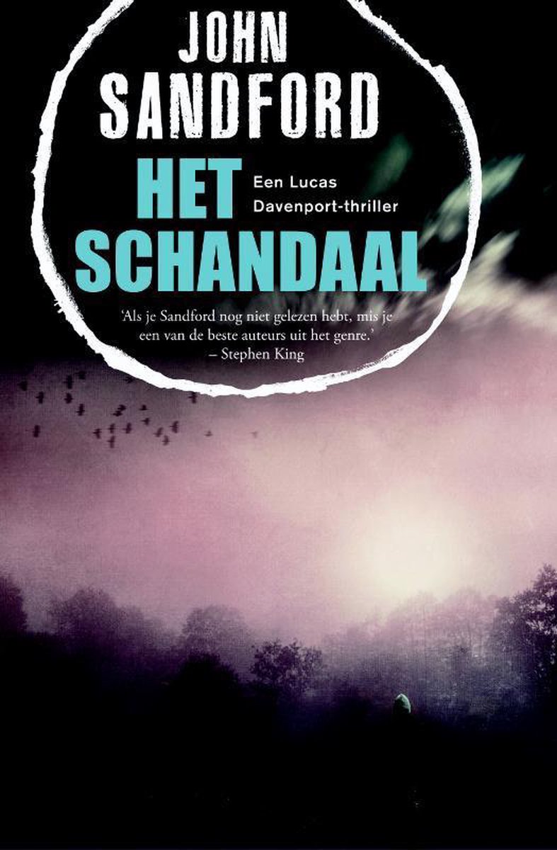 boekenbalie_9789400504233_cover Het schandaal / Lucas Davenport / 31