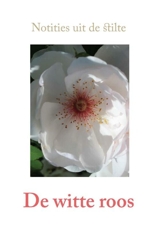 De witte roos