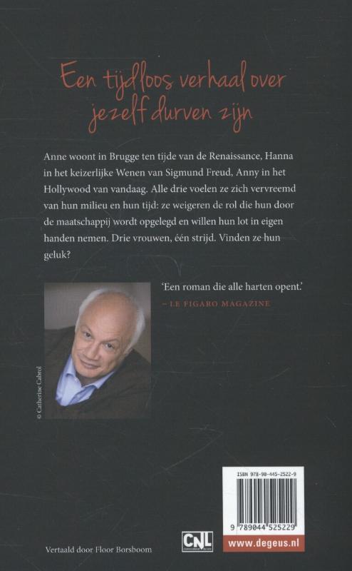 De vrouw in de spiegel achterkant